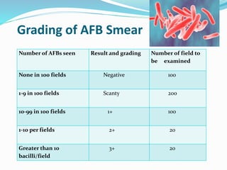 Grading of AFB Smear
Number of AFBs seen Result and grading Number of field to
be examined
None in 100 fields Negative 100
1-9 in 100 fields Scanty 200
10-99 in 100 fields 1+ 100
1-10 per fields 2+ 20
Greater than 10
bacilli/field
3+ 20
 
