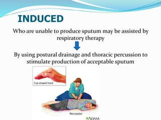 INDUCED
Who are unable to produce sputum may be assisted by
respiratory therapy
By using postural drainage and thoracic percussion to
stimulate production of acceptable sputum
 