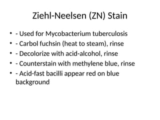 Ziehl-Neelsen (ZN) Stain
• - Used for Mycobacterium tuberculosis
• - Carbol fuchsin (heat to steam), rinse
• - Decolorize with acid-alcohol, rinse
• - Counterstain with methylene blue, rinse
• - Acid-fast bacilli appear red on blue
background
 