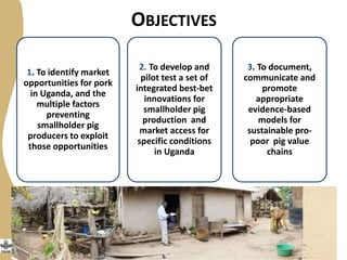OBJECTIVES
1. To identify market
opportunities for pork
in Uganda, and the
multiple factors
preventing
smallholder pig
producers to exploit
those opportunities
2. To develop and
pilot test a set of
integrated best-bet
innovations for
smallholder pig
production and
market access for
specific conditions
in Uganda
3. To document,
communicate and
promote
appropriate
evidence-based
models for
sustainable pro-
poor pig value
chains
 