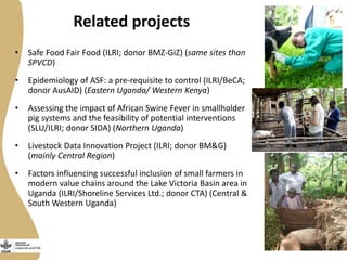 Update on the Smallholder Pig Value Chains Development in Uganda (SPVCD) Project