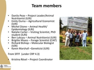 Update on the Smallholder Pig Value Chains Development in Uganda (SPVCD) Project