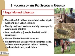 Update on the Smallholder Pig Value Chains Development in Uganda (SPVCD) Project