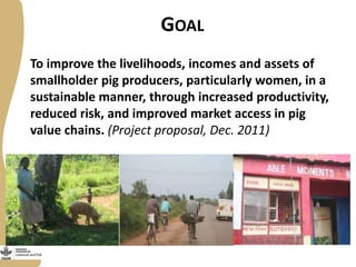 Update on the Smallholder Pig Value Chains Development in Uganda (SPVCD) Project