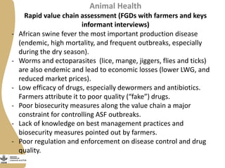 Animal Health
Rapid value chain assessment (FGDs with farmers and keys
informant interviews)
- African swine fever the most important production disease
(endemic, high mortality, and frequent outbreaks, especially
during the dry season).
- Worms and ectoparasites (lice, mange, jiggers, flies and ticks)
are also endemic and lead to economic losses (lower LWG, and
reduced market prices).
- Low efficacy of drugs, especially dewormers and antibiotics.
Farmers attribute it to poor quality (“fake”) drugs.
- Poor biosecurity measures along the value chain a major
constraint for controlling ASF outbreaks.
- Lack of knowledge on best management practices and
biosecurity measures pointed out by farmers.
- Poor regulation and enforcement on disease control and drug
quality.
 
