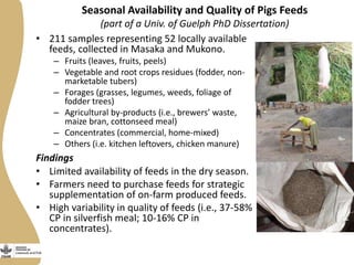 Seasonal Availability and Quality of Pigs Feeds
(part of a Univ. of Guelph PhD Dissertation)
• 211 samples representing 52 locally available
feeds, collected in Masaka and Mukono.
– Fruits (leaves, fruits, peels)
– Vegetable and root crops residues (fodder, non-
marketable tubers)
– Forages (grasses, legumes, weeds, foliage of
fodder trees)
– Agricultural by-products (i.e., brewers’ waste,
maize bran, cottonseed meal)
– Concentrates (commercial, home-mixed)
– Others (i.e. kitchen leftovers, chicken manure)
Findings
• Limited availability of feeds in the dry season.
• Farmers need to purchase feeds for strategic
supplementation of on-farm produced feeds.
• High variability in quality of feeds (i.e., 37-58%
CP in silverfish meal; 10-16% CP in
concentrates).
 