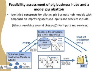 Feasibility assessment of pig business hubs and a
model pig abattoir
• Identified constructs for piloting pig business hub models with
emphasis on improving access to inputs and services include:
(i) hubs revolving around check-offs for inputs and services;
Pig Collection
Centre
(pig inspection)
Kabonera-Kyanamukaaka
pig farmer cooperative
BDS
Check-off
arrangement
(MoU)
Pig traders /group
(local within Masaka or
outside)
Live pigs
Pig
traders
Pig farmers
Direct
Coop
funds
 