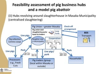 (ii) Hubs revolving around slaughterhouse in Masaka Municipality
(centralised slaughtering)
Feasibility assessment of pig business hubs
and a model pig abattoir
Slaughter slab
in Municipality
Pig Union – greater Masaka
Pig union own
slaughterhouse/or
lease to traders
BDS
- Transport
Live pigs/
pork
Pig traders /group
(local within Masaka or
outside)
Households
Pork
Pig collection
Centres-coops
Live pigs
Check-off
arrangement
Processors
e.g., Fresh
Cuts
Cooperatives
Live pigs Pork
 