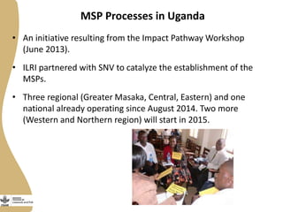 MSP Processes in Uganda
• An initiative resulting from the Impact Pathway Workshop
(June 2013).
• ILRI partnered with SNV to catalyze the establishment of the
MSPs.
• Three regional (Greater Masaka, Central, Eastern) and one
national already operating since August 2014. Two more
(Western and Northern region) will start in 2015.
 