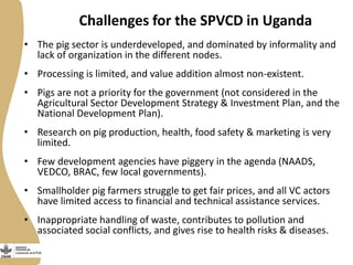 Challenges for the SPVCD in Uganda
• The pig sector is underdeveloped, and dominated by informality and
lack of organization in the different nodes.
• Processing is limited, and value addition almost non-existent.
• Pigs are not a priority for the government (not considered in the
Agricultural Sector Development Strategy & Investment Plan, and the
National Development Plan).
• Research on pig production, health, food safety & marketing is very
limited.
• Few development agencies have piggery in the agenda (NAADS,
VEDCO, BRAC, few local governments).
• Smallholder pig farmers struggle to get fair prices, and all VC actors
have limited access to financial and technical assistance services.
• Inappropriate handling of waste, contributes to pollution and
associated social conflicts, and gives rise to health risks & diseases.
 