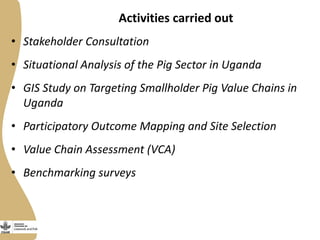 Smallholder pig value chains development in Uganda 
