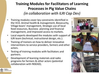 Smallholder pig value chains development in Uganda 