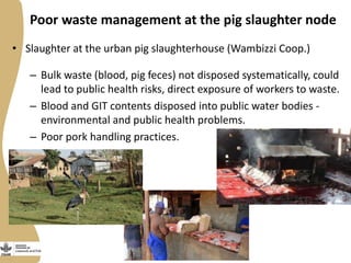 Smallholder pig value chains development in Uganda 