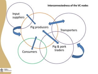 Smallholder pig value chains development in Uganda 