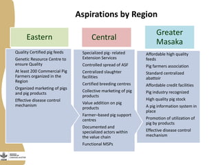 Smallholder pig value chains development in Uganda 