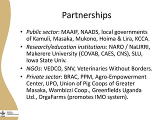 Smallholder pig value chains development in Uganda 