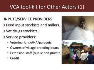 The smallholder pig value chains development in Uganda (SPVCD) project: Where are we now?