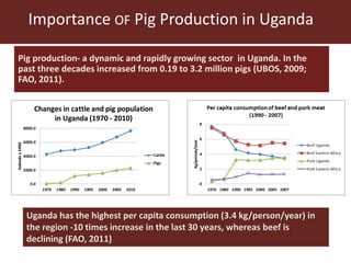 The smallholder pig value chains development in Uganda (SPVCD) project: Where are we now?