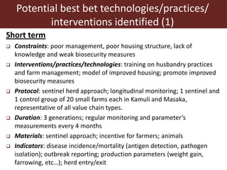 The smallholder pig value chains development in Uganda (SPVCD) project: Where are we now?