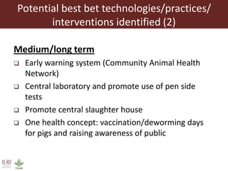 The smallholder pig value chains development in Uganda (SPVCD) project: Where are we now?