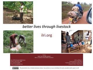 The smallholder pig value chains development in Uganda (SPVCD) project: Where are we now?