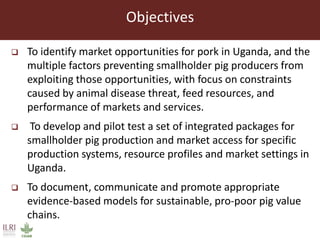 The smallholder pig value chains development in Uganda (SPVCD) project: Where are we now?
