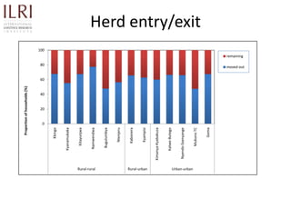 Participatory rapid assessment of animal health and management practices in the Uganda smallholder pig value chain