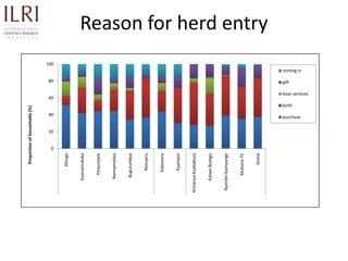 Participatory rapid assessment of animal health and management practices in the Uganda smallholder pig value chain