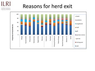 Participatory rapid assessment of animal health and management practices in the Uganda smallholder pig value chain