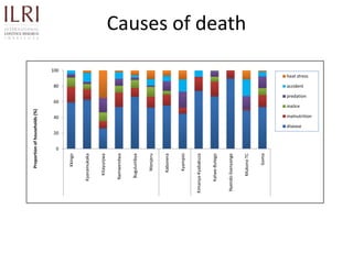 Participatory rapid assessment of animal health and management practices in the Uganda smallholder pig value chain