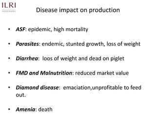 Participatory rapid assessment of animal health and management practices in the Uganda smallholder pig value chain