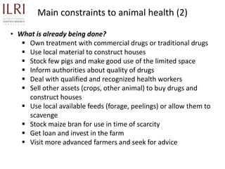 Participatory rapid assessment of animal health and management practices in the Uganda smallholder pig value chain