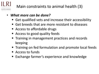 Participatory rapid assessment of animal health and management practices in the Uganda smallholder pig value chain