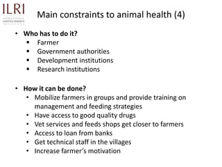 Participatory rapid assessment of animal health and management practices in the Uganda smallholder pig value chain