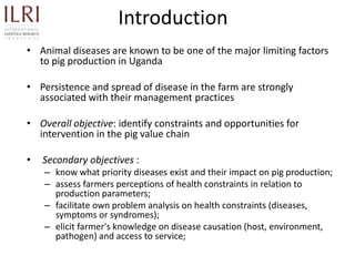 Participatory rapid assessment of animal health and management practices in the Uganda smallholder pig value chain