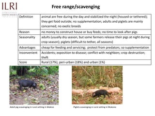Participatory rapid assessment of animal health and management practices in the Uganda smallholder pig value chain