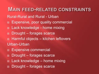 Rural-Rural and Rural - Urban
 Expensive, poor quality commercial
 Lack knowledge - home mixing
 Drought – forages scarce
 Harmful objects – kitchen leftovers
Urban-Urban
 Expensive commercial
 Drought – forages scarce
 Lack knowledge – home mixing
 Drought – forages scarce
 