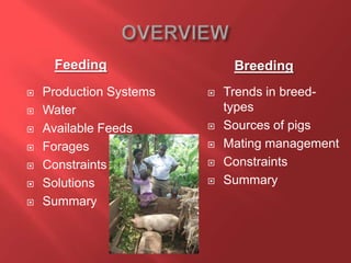  Production Systems
 Water
 Available Feeds
 Forages
 Constraints
 Solutions
 Summary
 Trends in breed-
types
 Sources of pigs
 Mating management
 Constraints
 Summary
Feeding Breeding
 