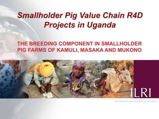 Smallholder Pig Value Chain R4D
Projects in Uganda
THE BREEDING COMPONENT IN SMALLHOLDER
PIG FARMS OF KAMULI, MASAKA AND MUKONO
 