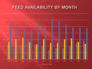 Feeding and breeding systems in the Uganda smallholder pigs value chain