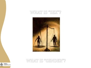 Integrating gender into livestock value chains