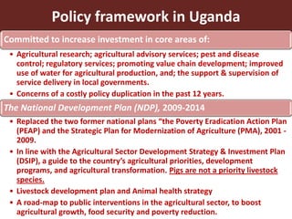 Smallholder pig value chains in Uganda
