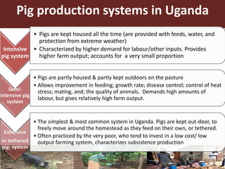Smallholder pig value chains in Uganda