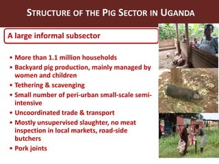Smallholder pig value chains in Uganda