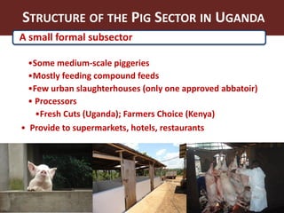 Smallholder pig value chains in Uganda