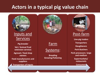 Smallholder pig value chains in Uganda