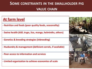 Smallholder pig value chains in Uganda