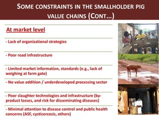 Smallholder pig value chains in Uganda