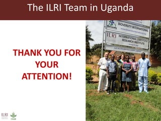 Smallholder pig value chains in Uganda