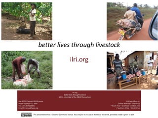 Smallholder pig value chains in Uganda